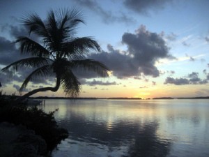Image No. 1, Andrea Gerhoff, Islamorado, Florida Keys