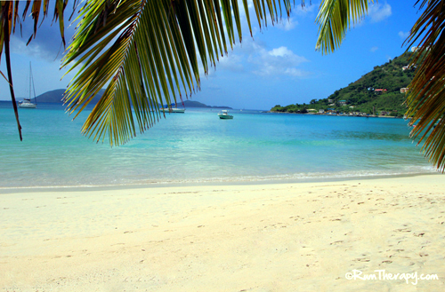 Top 5 Beaches of the BVI - Rum Therapy - My Island Art